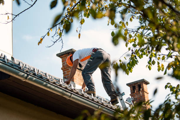 Best Metal Roofing Contractor  in Weiser, ID
