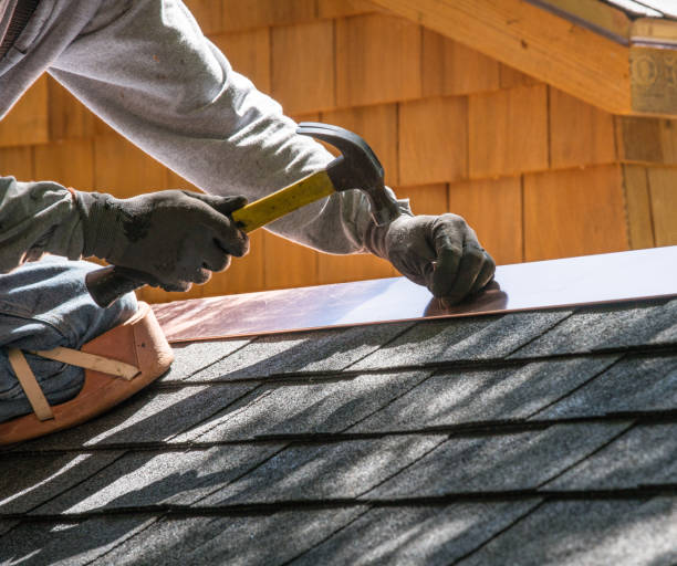 Best Roof Gutter Cleaning  in Weiser, ID